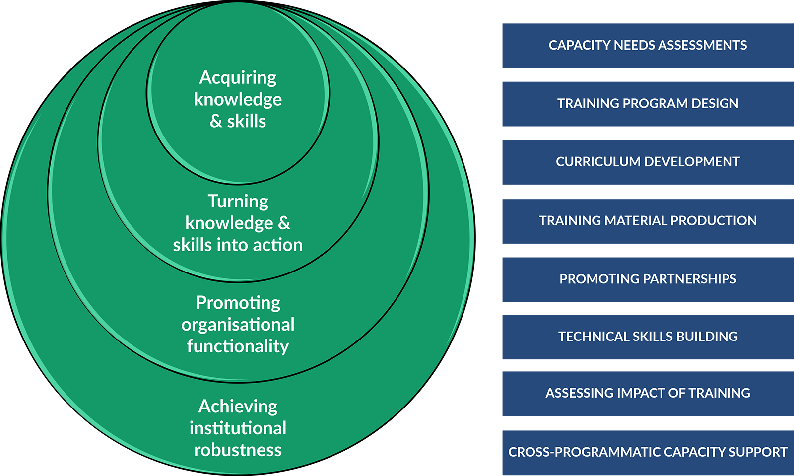 Training-&-Cap-Build-Graphic